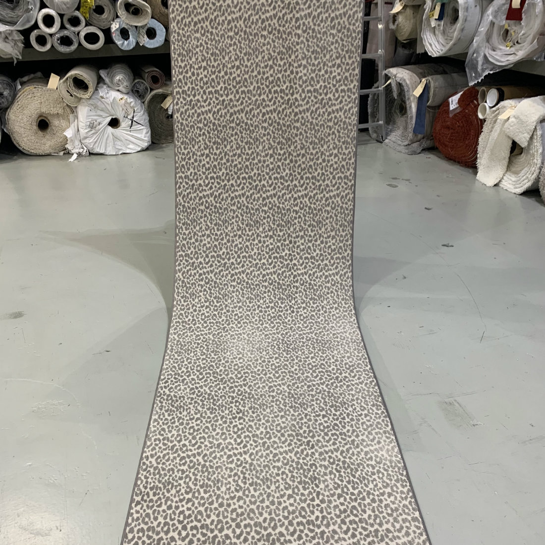 In Stock Leopard Vibes Dove Carpet Time Warehouse Nyc Animal Print