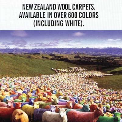 Wools Of New Zealand Ad Carpet Time Nyc